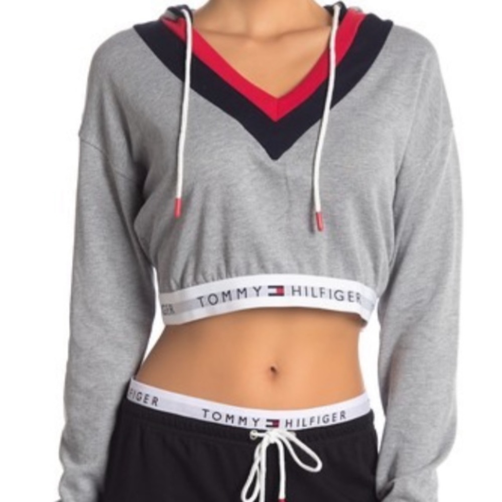Tommy Hilfiger retro cropped hoodie sweatshirt